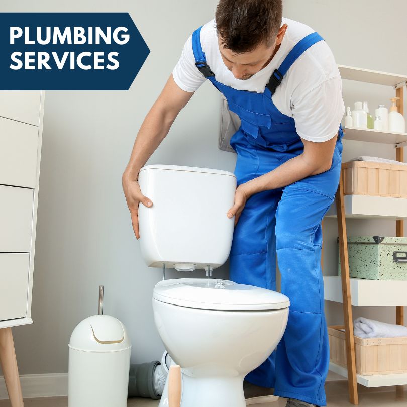 Plumbing Company in West Davenport, NY